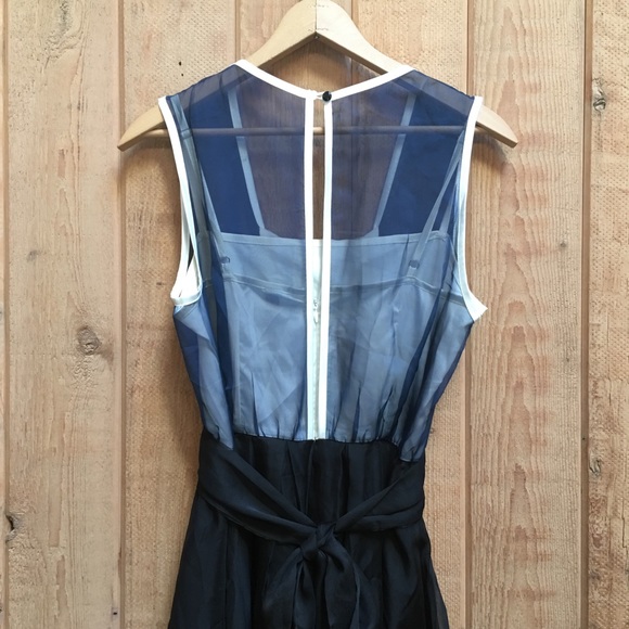 Jaloux Silk Dress - Picture 4 of 8